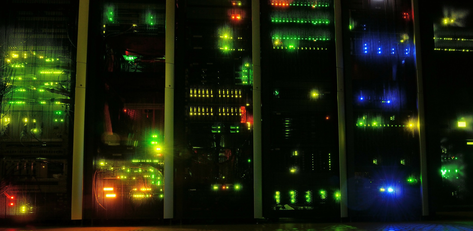 An IT guy turned gardner...